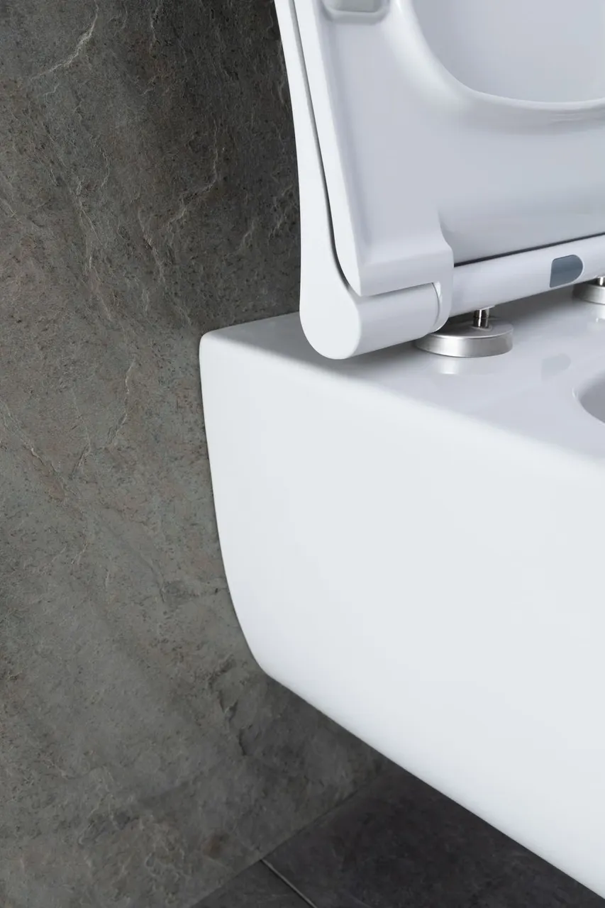 Товар: Унитаз с инсталляцией Allen Brau Priority 00301296/8.9466.0.000.000.1 белый глянец 00316508 - фото 23 Унитаз с инсталляцией Allen Brau Priority 00301296/8.9466.0.000.000.1 белый глянец 00316508 — фото 23, Комплекты унитаз + инсталляция