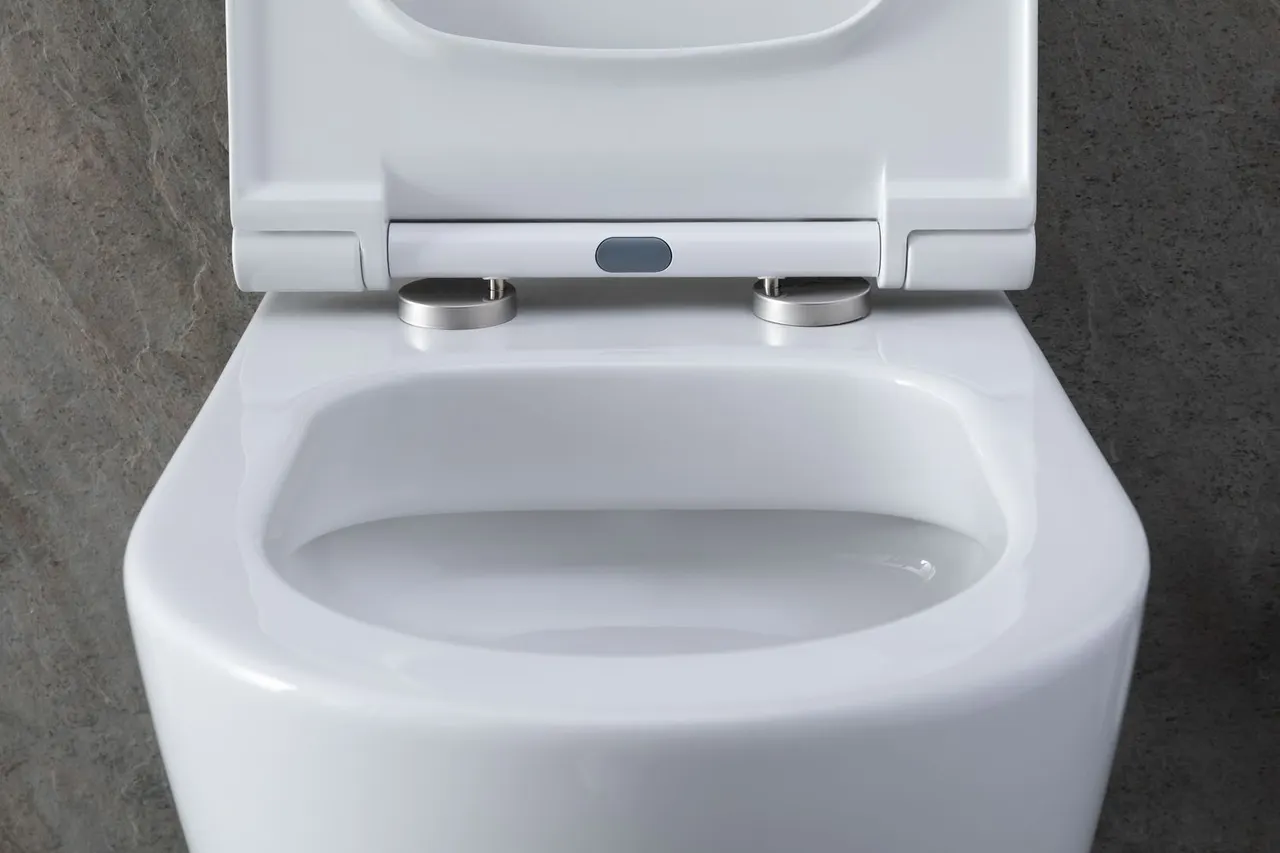 Товар: Унитаз с инсталляцией Allen Brau Priority 00301296/8.9466.0.000.000.1 белый глянец 00316508 - фото 18 Унитаз с инсталляцией Allen Brau Priority 00301296/8.9466.0.000.000.1 белый глянец 00316508 — фото 18, Комплекты унитаз + инсталляция