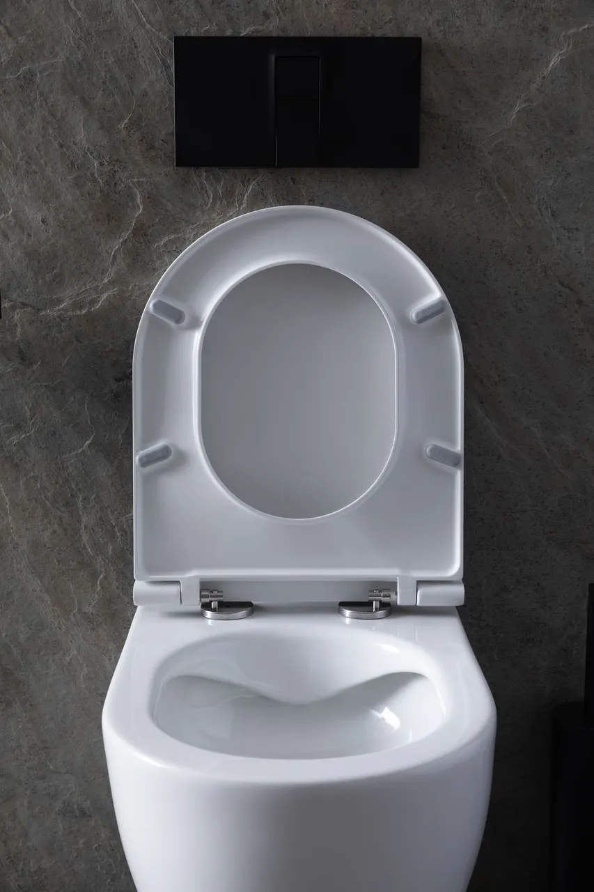 Унитаз с инсталляцией Allen Brau Reality 4.32006.20/8.9466.0.000.000.1 белый глянец 00316510 — фото 27, Комплекты унитаз + инсталляция