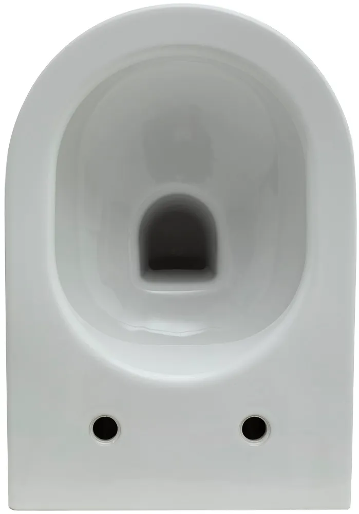 Унитаз с инсталляцией Allen Brau Reality 4.32006.20/8.9466.0.000.000.1 белый глянец 00316510 — фото 2, Комплекты унитаз + инсталляция