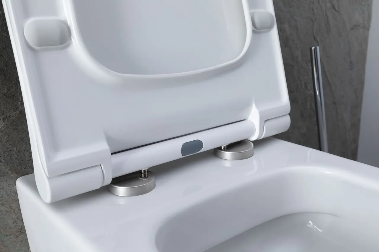 Товар: Унитаз с инсталляцией Allen Brau Priority 00301296/8.9466.0.000.000.1 белый глянец 00316508 - фото 21 Унитаз с инсталляцией Allen Brau Priority 00301296/8.9466.0.000.000.1 белый глянец 00316508 — фото 21, Комплекты унитаз + инсталляция