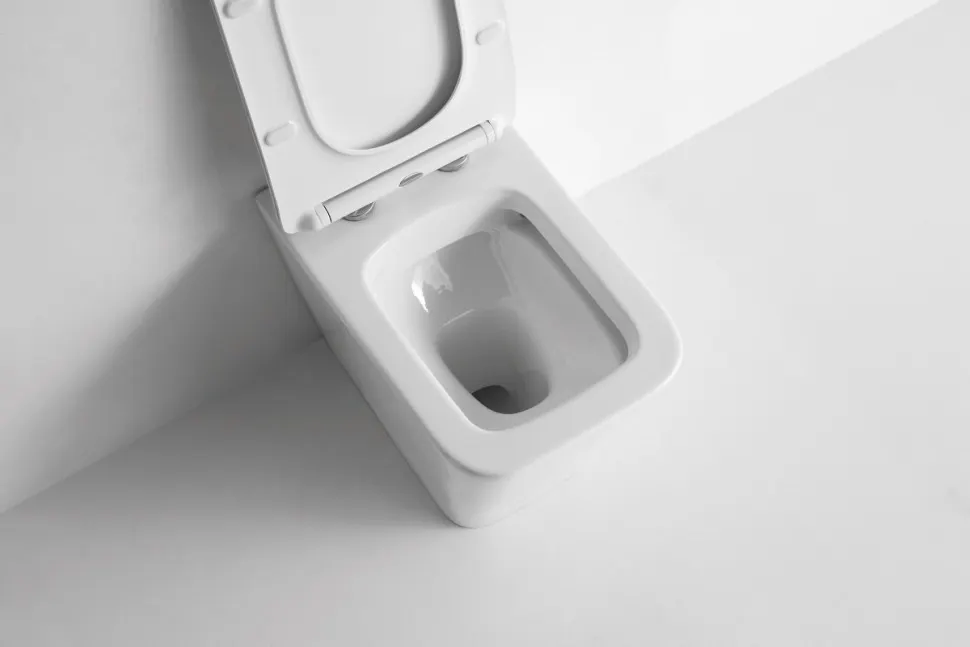 Товар: Унитаз приставной CeramaLux 3170 - фото 7 Унитаз приставной CeramaLux 3170 — фото 7, Приставные унитазы