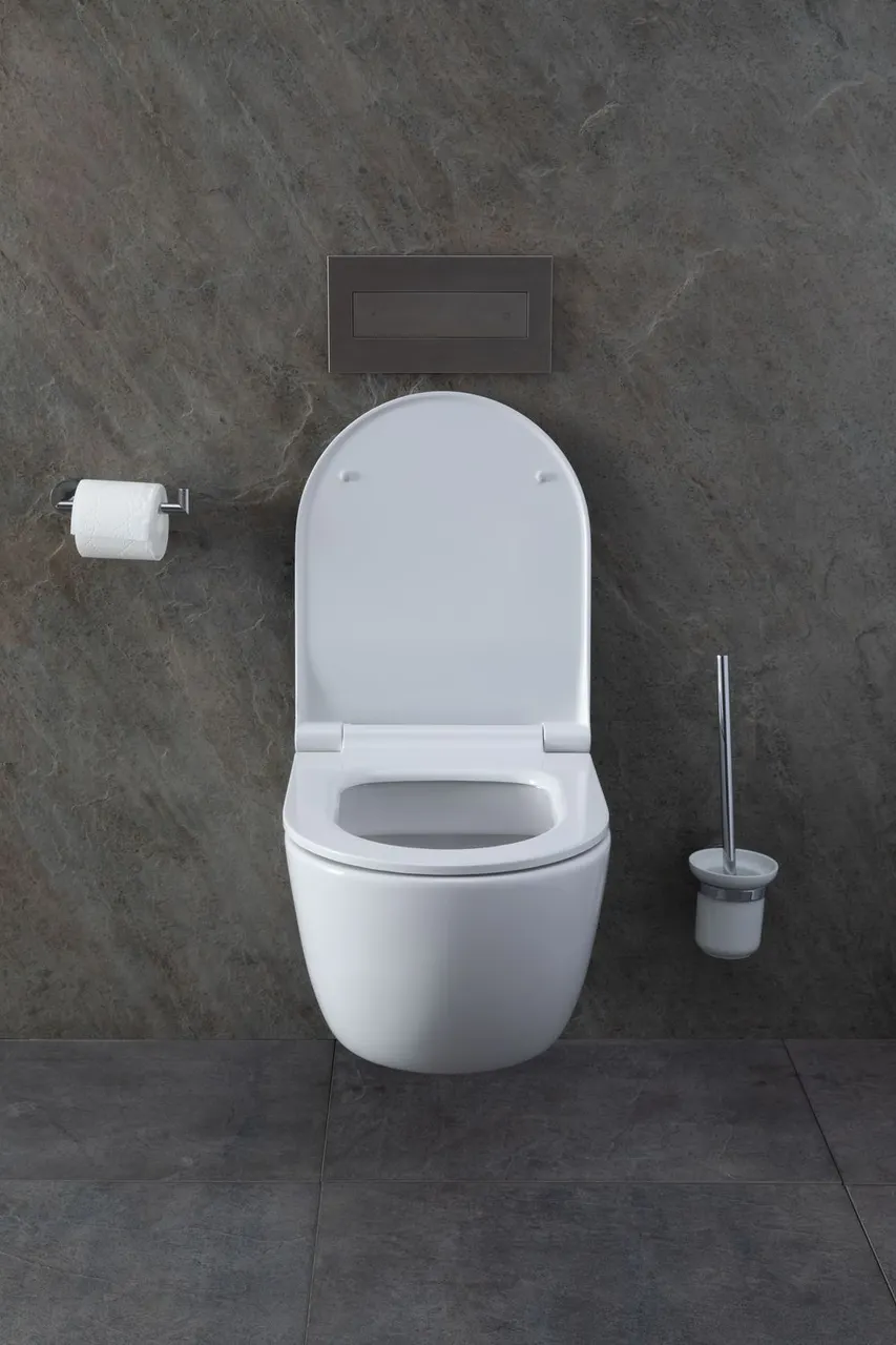 Товар: Унитаз с инсталляцией Allen Brau Priority 00301296/8.9466.0.000.000.1 белый глянец 00316508 - фото 30 Унитаз с инсталляцией Allen Brau Priority 00301296/8.9466.0.000.000.1 белый глянец 00316508 — фото 30, Комплекты унитаз + инсталляция