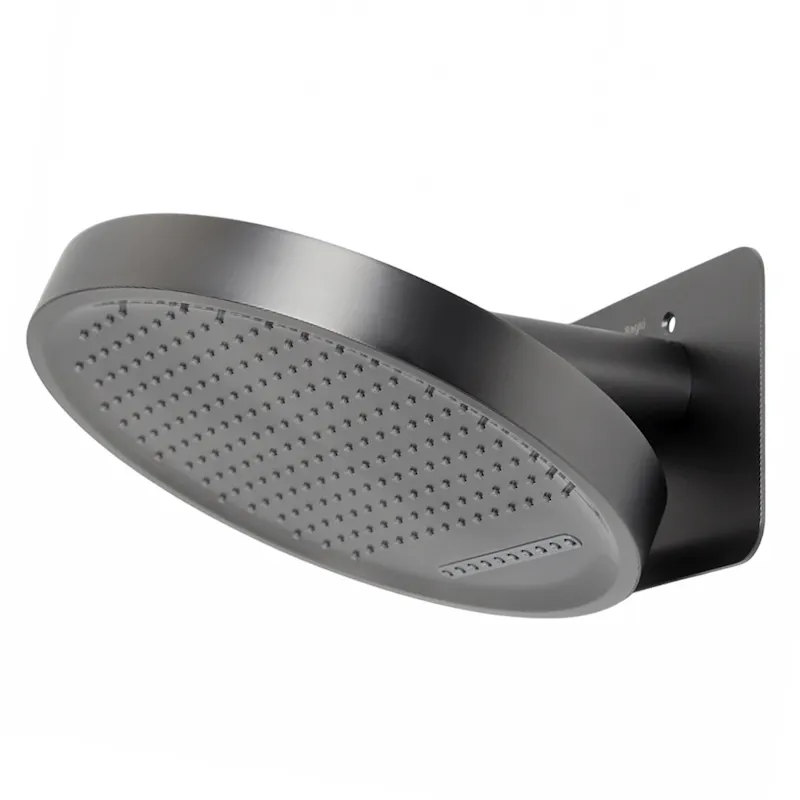 Товар: Верхний душ Raglo R452.02.09, графит - фото 1 Верхний душ Raglo R452.02.09, графит — фото 1, Верхние души