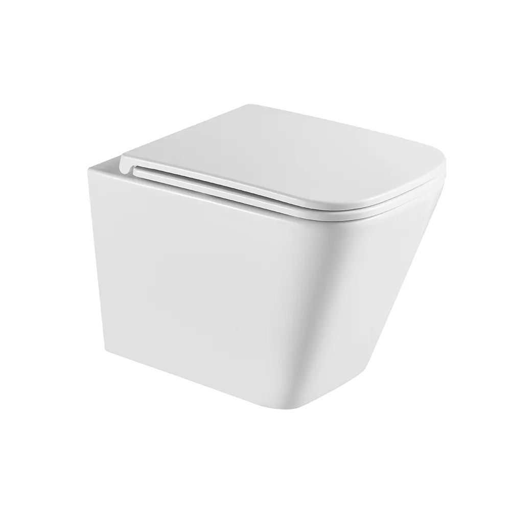 Товар: Унитаз подвесной Terminus Ватикан (Торнадо 3.0) 03W49x34W, белый - фото 1 Унитаз подвесной Terminus Ватикан (Торнадо 3.0) 03W49x34W, белый — фото 1, Подвесные унитазы