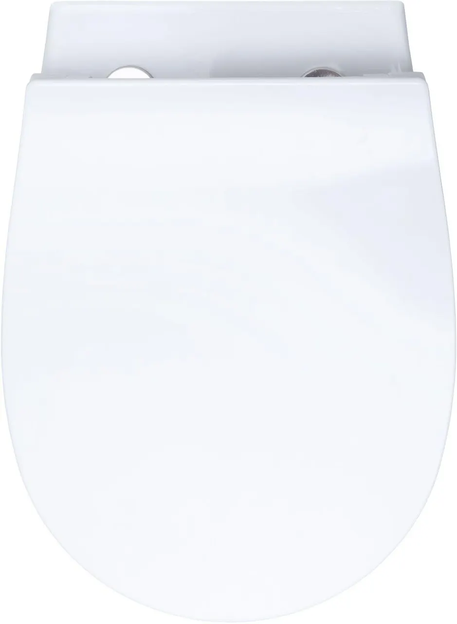 Товар: Унитаз с инсталляцией Allen Brau Fantasy 4.11004.20/8.9466.0.000.000.1 белый глянец 00316504 - фото 3 Унитаз с инсталляцией Allen Brau Fantasy 4.11004.20/8.9466.0.000.000.1 белый глянец 00316504 — фото 3, Комплекты унитаз + инсталляция