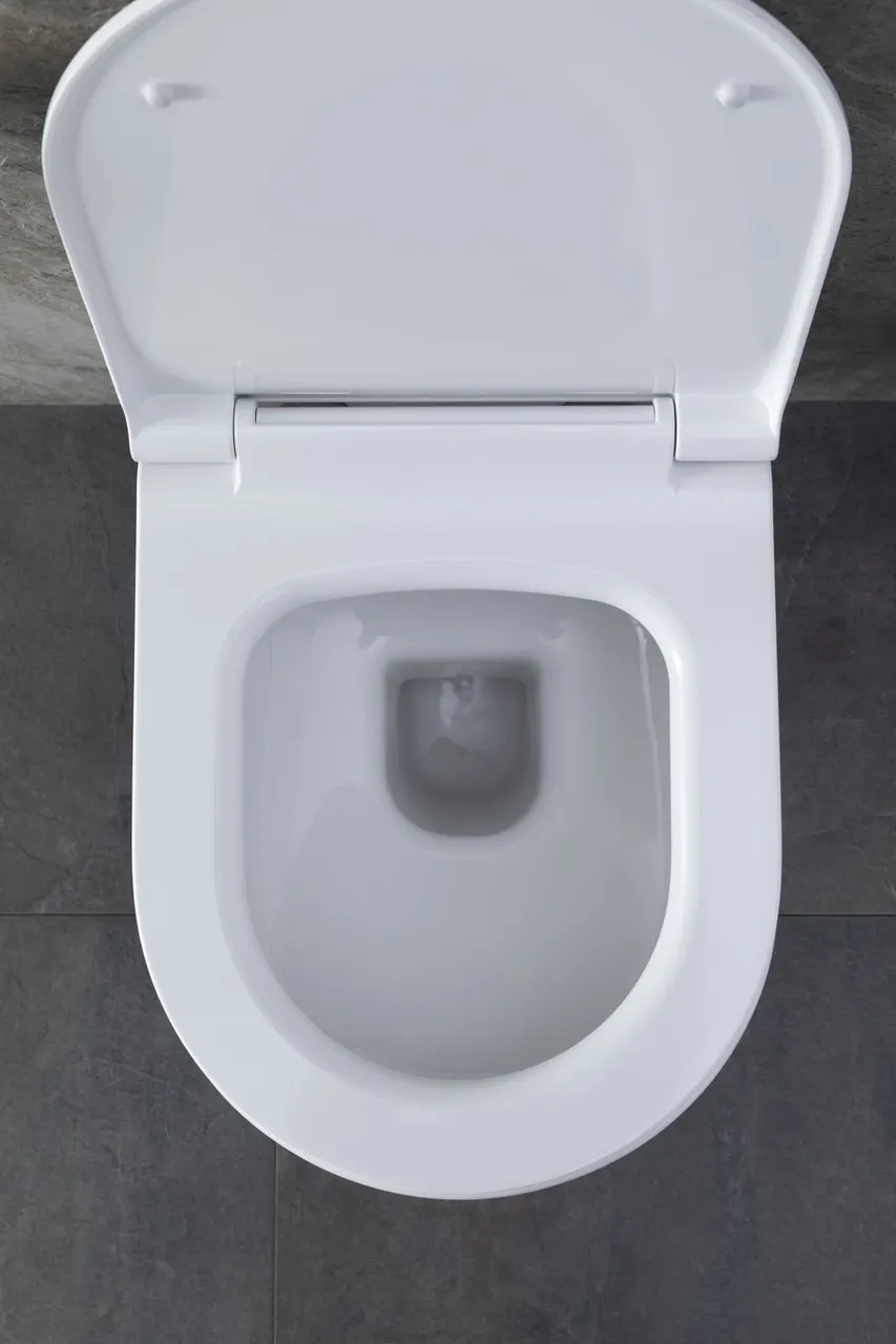 Товар: Унитаз с инсталляцией Allen Brau Priority 00301296/8.9466.0.000.000.1 белый глянец 00316508 - фото 32 Унитаз с инсталляцией Allen Brau Priority 00301296/8.9466.0.000.000.1 белый глянец 00316508 — фото 32, Комплекты унитаз + инсталляция