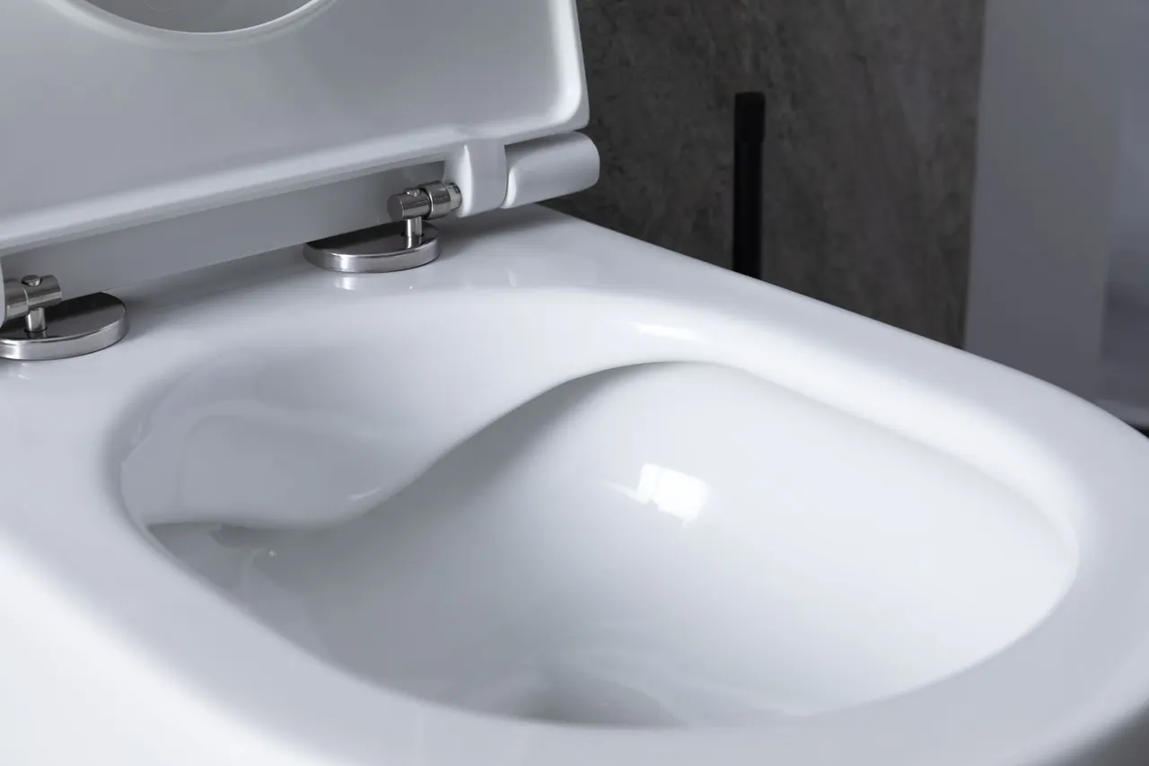 Унитаз с инсталляцией Allen Brau Reality 4.32006.20/8.9466.0.000.000.1 белый глянец 00316510 — фото 29, Комплекты унитаз + инсталляция