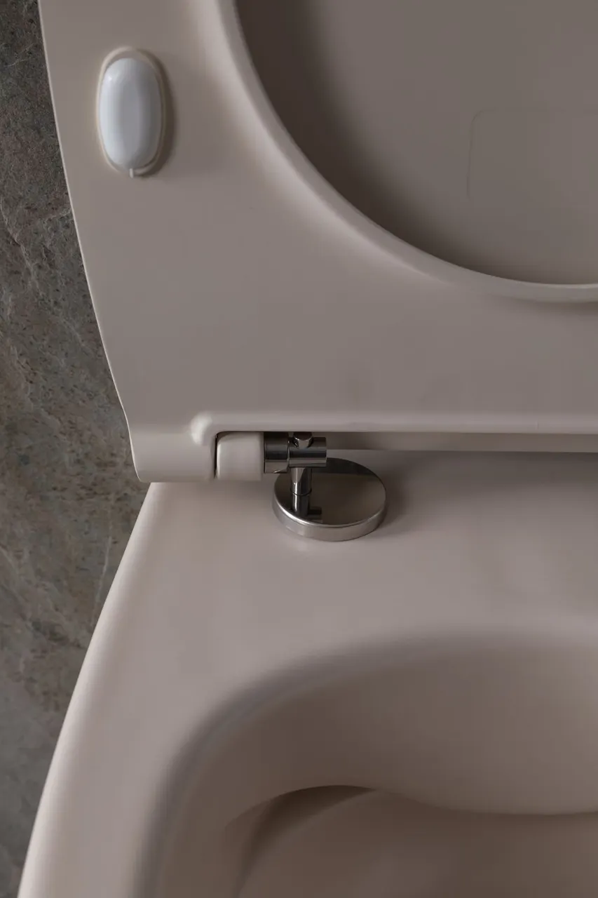 Товар: Чаша подвесного унитаза Allen Brau Fantasy 4.11004.IV айвори - фото 22 Чаша подвесного унитаза Allen Brau Fantasy 4.11004.IV айвори — фото 22, Подвесные унитазы