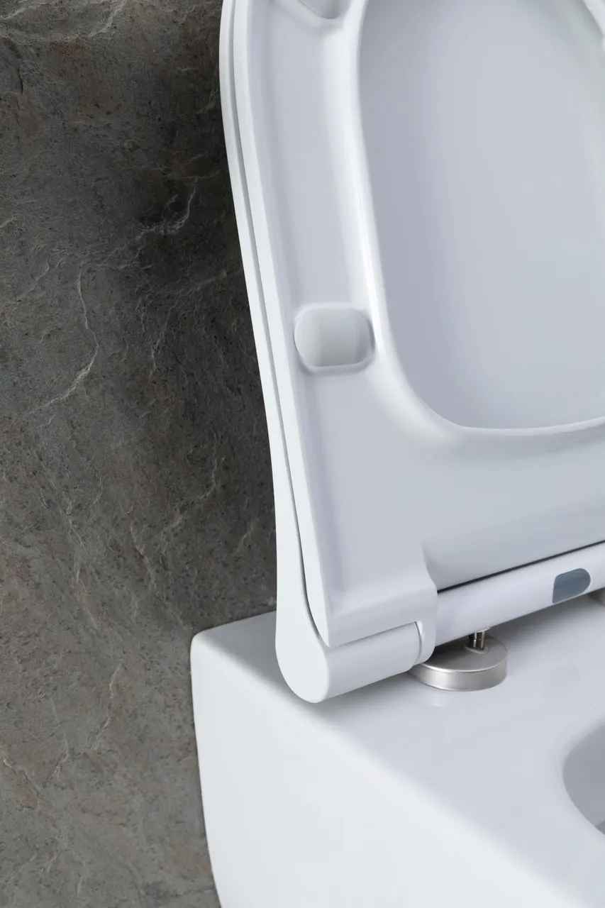 Товар: Унитаз с инсталляцией Allen Brau Priority 00301296/8.9466.0.000.000.1 белый глянец 00316508 - фото 22 Унитаз с инсталляцией Allen Brau Priority 00301296/8.9466.0.000.000.1 белый глянец 00316508 — фото 22, Комплекты унитаз + инсталляция