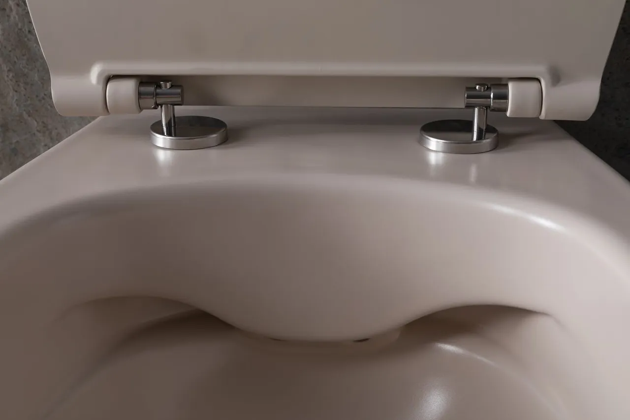 Товар: Чаша подвесного унитаза Allen Brau Fantasy 4.11004.IV айвори - фото 21 Чаша подвесного унитаза Allen Brau Fantasy 4.11004.IV айвори — фото 21, Подвесные унитазы