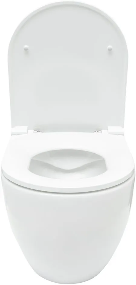 Унитаз с инсталляцией Allen Brau Reality 4.32006.20/8.9466.0.000.000.1 белый глянец 00316510 — фото 12, Комплекты унитаз + инсталляция