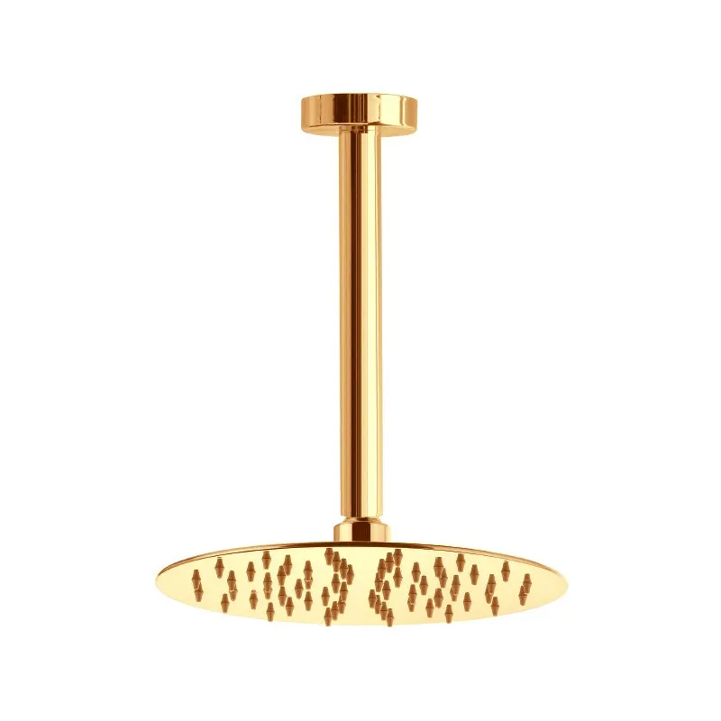 Товар: Верхний душ Webert AC0945010, черный - фото 1 Верхний душ Webert AC0945010, черный — фото 1, Верхние души