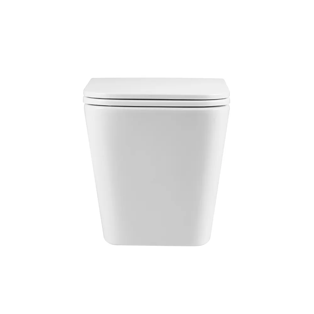 Товар: Унитаз подвесной Terminus Ватикан (Торнадо 3.0) 03W49x34W, белый - фото 5 Унитаз подвесной Terminus Ватикан (Торнадо 3.0) 03W49x34W, белый — фото 5, Подвесные унитазы