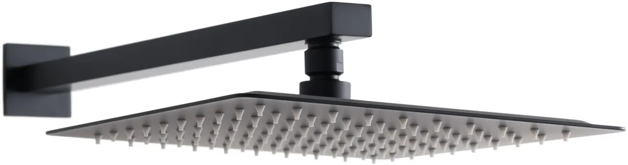 Товар: Верхний душ Allen Brau Infinity 5.21019-31 Черный матовый - фото 1 Верхний душ Allen Brau Infinity 5.21019-31 Черный матовый — фото 1, Верхние души