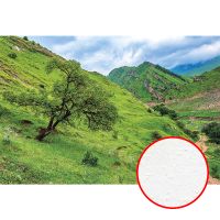 Товар: Фреска Ortograf Горы 30939 Фактура бархат FX Флизелин (4*2,7) Зеленый/Голубой, Горы/Пейзаж/Природа - фото 1 Фреска Ortograf Горы 30939 Фактура бархат FX Флизелин (4*2,7) Зеленый/Голубой, Горы/Пейзаж/Природа — фото 1, Фрески