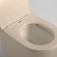 Унитаз Vincea Piatti VT1-11SMC подвесной Капучино матовый с сиденьем Микролифт — фото 5, Подвесные унитазы