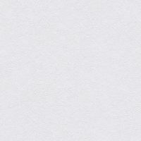 Обои AS Creation Original View Винил на флизелине (0,53*10,05) Серый, Однотонные арт-35866-6 — фото 1, Обои для стен