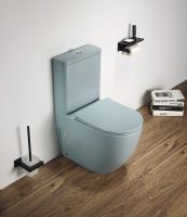 Унитаз компакт CeramaLux 2166XMLG Зеленый матовый с бачком и сиденьем Микролифт — фото 2, Напольные унитазы