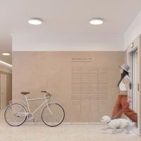 Товар: Потолочный светильник Arlight Emergency 042562 Белый/Черный - фото 5 Потолочный светильник Arlight Emergency 042562 Белый/Черный — фото 5, Светильники