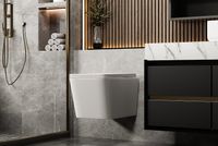 Унитаз Abber Rechteck AC1201MW подвесной Белый матовый с сиденьем Микролифт — фото 8, Подвесные унитазы