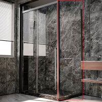 Душевая стенка Veconi Premium Trento SP-30GR 100 SP30-GR-100-01-C4 профиль Брашированный графит стекло прозрачное — фото 1, Боковые стенки