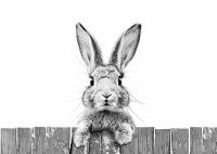 Фреска Ortograf Животные 33244 Фактура бархат FX Флизелин (3,8*2,7) Белый/Серый, Животные арт-33244 (бархат FX) — фото 2, Фрески