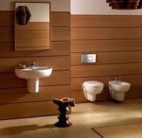 Унитаз Jacob Delafon Brive E4345G-00 подвесной без сиденья — фото 5, Подвесные унитазы