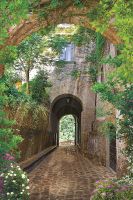 Фреска Ortograf Городской пейзаж 5012 Фактура бархат FX Флизелин (2*3) Коричневый/Зеленый, Город/Деревья — фото 2, Фрески