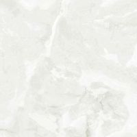 Керамогранит Absolut Gres Onix White AB 1006G 60x60 см — фото 1, Керамогранит