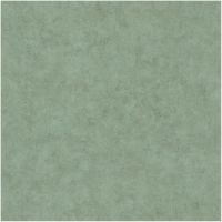 Товар: Обои Caselio Beton 101487670 Винил на флизелине (0,53*10,05) Зеленый, Штукатурка - фото 1 Обои Caselio Beton 101487670 Винил на флизелине (0,53*10,05) Зеленый, Штукатурка — фото 1, Обои для стен