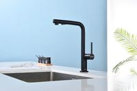 Смеситель для кухни Paulmark Neo Ne214419-401 Антрацит — фото 4, Смесители для кухни