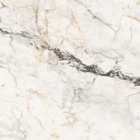 Керамогранит La Faenza Aesthetica AePao6120Lp 120х120 см — фото 1, Керамогранит