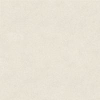 Товар: Керамогранит Porcelanosa Terra Bone L 100348029 120x120 см - фото 1 Керамогранит Porcelanosa Terra Bone L 100348029 120x120 см — фото 1, Керамическая плитка