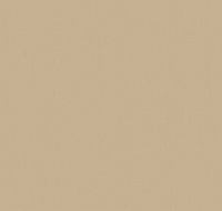 Обои LOYMINA Shade 2 SDR1 002/4 Винил на флизелине (1*10,05) Бежевый, Однотонные — фото 2, Обои для стен