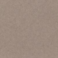 Обои RASCH Factory Style 947441 Винил на флизелине (1,06*10,05) Коричневый, Однотонный — фото 1, Обои для стен