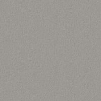 Обои Andrea Grifoni Palazzo Peterhof 7008-5 Флизелин (1,06*10,05) Серый, Однотонные — фото 1, Обои для стен