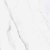 Керамогранит Fanal Iceberg 9090 Nplus 90I001 90х90 см — фото 1, Керамогранит