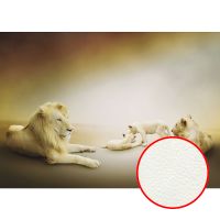 Фреска Ortograf Животные 5546 Фактура флок FLK Флизелин (3,8*2,7) Бежевый, Животные арт-5546 (флок FLK) — фото 1, Фрески