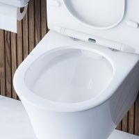 Комплект унитаза с инсталляцией AM.PM MasterFit с сиденьем Микролифт и Черной матовой клавишей смыва арт-IS100238.DX35C1700 — фото 10, Комплекты унитаз + инсталляция