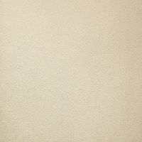 Обои Andrea Rossi Gavi 54377-9 Винил на флизелине (1,06*10) Бежевый, Однотонные — фото 1, Обои для стен