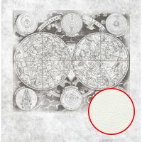 Фреска Ortograf Карты мира 33909 Фактура флок FLK Флизелин (2,65*2,7) Серый, Карты — фото 1, Фрески