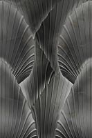 Товар: Панно Zambaiti Parati Trussardi VII 18972 Винил на флизелине (2*3) Черный/Серый, Абстракция/Листья - фото 2 Панно Zambaiti Parati Trussardi VII 18972 Винил на флизелине (2*3) Черный/Серый, Абстракция/Листья — фото 2, Обои для стен