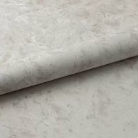 Обои Fipar Modelli Magici R 11583 Винил на флизелине (1,06*10,05) Бежевый/Серый, Штукатурка — фото 2, Обои для стен