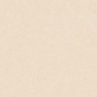 Обои AS Creation Global Spots 38013-2 Винил на флизелине (1,06*10,05) Бежевый, Штукатурка — фото 1, Обои для стен