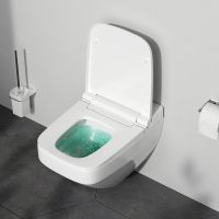 Унитаз-биде AM.PM Inspire V2.0 CCC50A1700SC подвесной с сиденьем Микролифт — фото 12, Унитазы