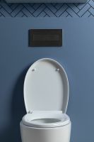 Товар: Унитаз Aquanet ZV-1 303977 подвесной с сиденьем Микролифт - фото 25 Унитаз Aquanet ZV-1 303977 подвесной с сиденьем Микролифт — фото 25, Подвесные унитазы