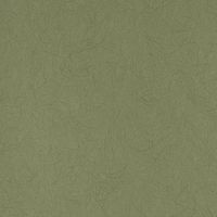 Обои Bernardo Bartalucci Legend 5068-49 Флизелин (1,06*10) Зеленый, Однотонные — фото 1, Обои для стен