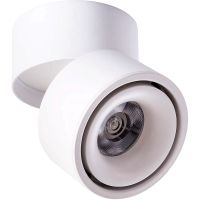 Потолочный светильник Artelamp Arcturus A7715PL-1WH Белый — фото 1, Светильники