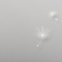 Обои Andrea Rossi Gavi 54368-5 Винил на флизелине (1,06*10) Серый, Листья/Цветы — фото 2, Обои для стен